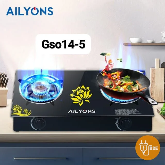 AILYONS 2-Burner Glass-Top Gas Cooker (GSO14-5)
